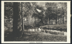 17361 Gezicht op de plas in het bos van het landgoed Poederwijk bij Leersum.